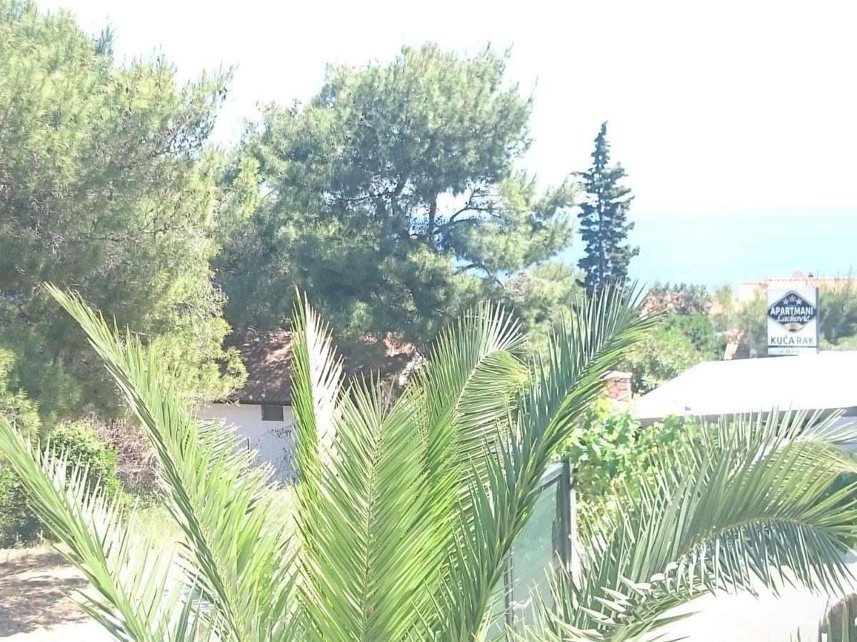 Apartments Riba Βις Εξωτερικό φωτογραφία